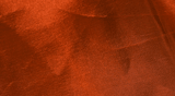 Taft apricot